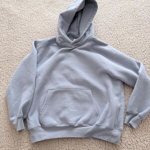 Aritzia Cozy Sweatfleece Hooded Sweatshirt
